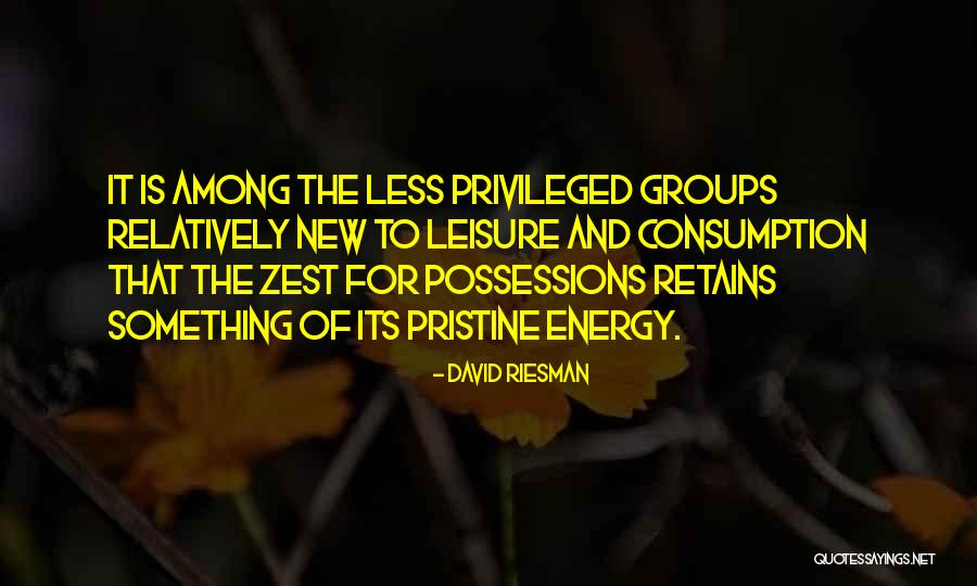 Agapie Group Quotes By David Riesman Agapie Group Quotes By David Riesman