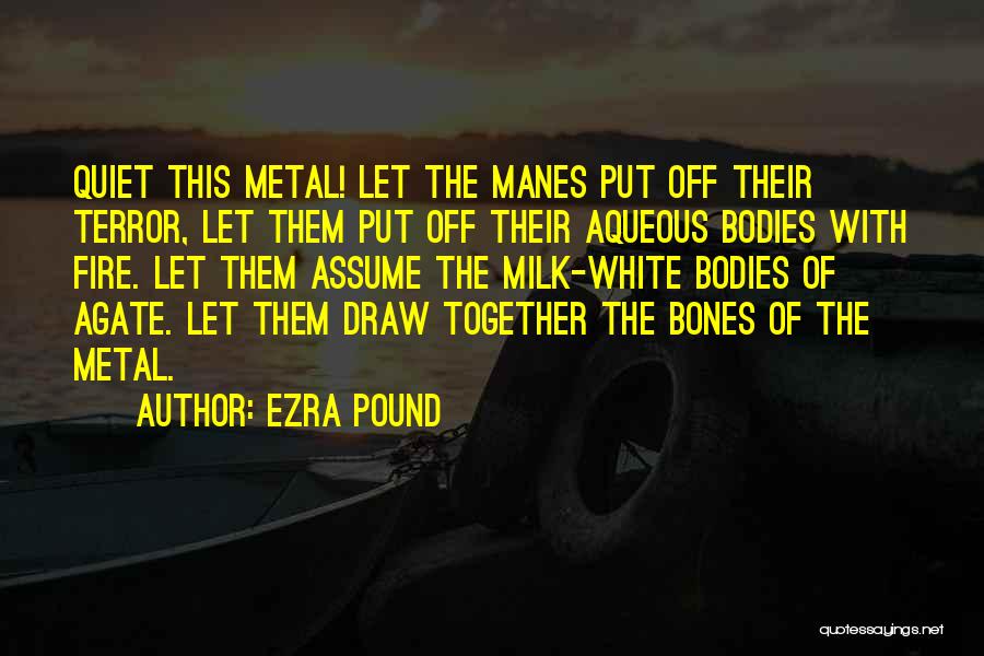 Agate Quotes By Ezra Pound