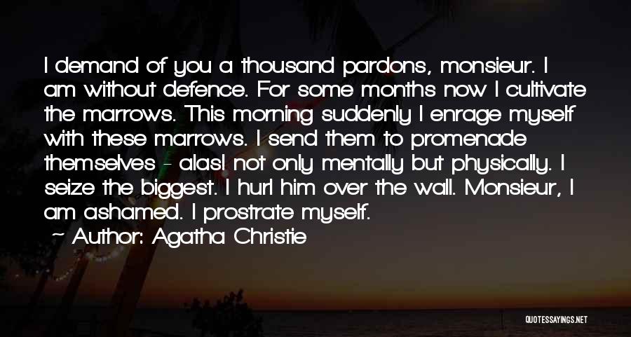 Agatha Christie Hercule Poirot Quotes By Agatha Christie