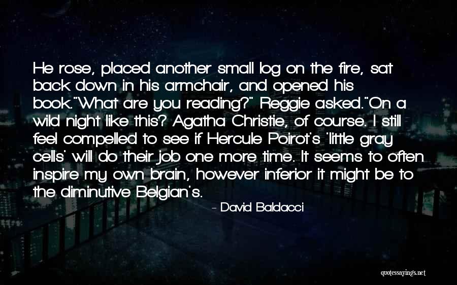 Agatha Christie Hercule Poirot Quotes By David Baldacci