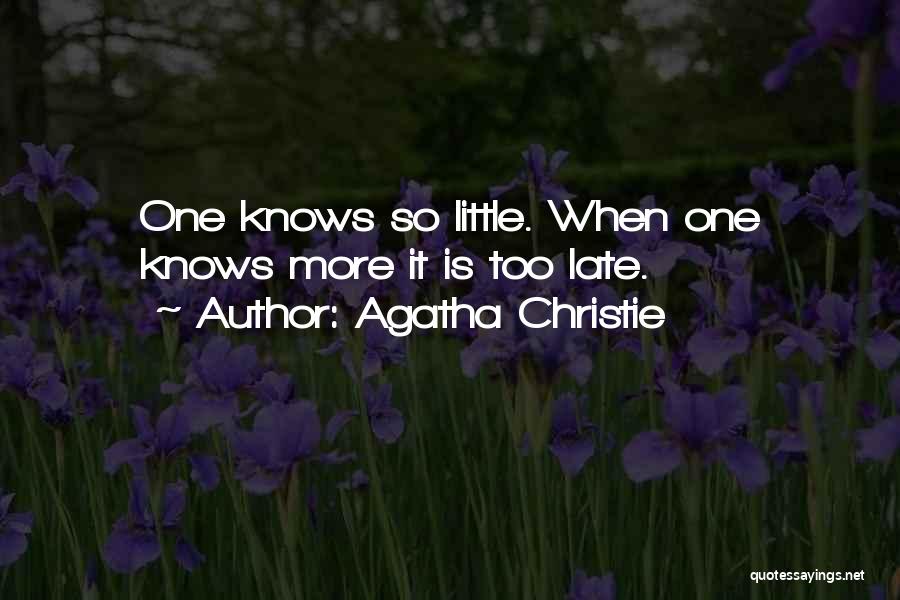 Agatha Christie Quotes 1117609