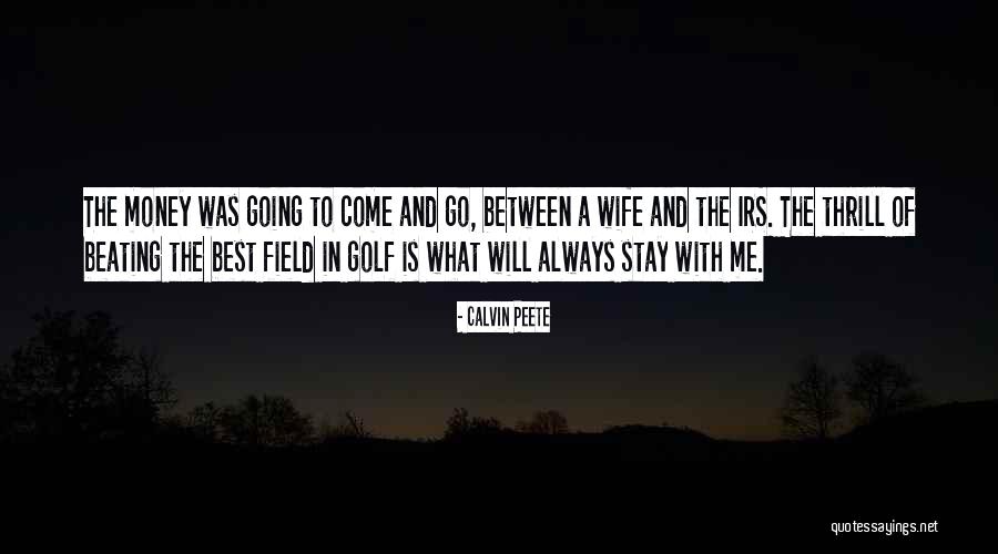Agathangelou Quotes By Calvin Peete Agathangelou Quotes By Calvin Peete