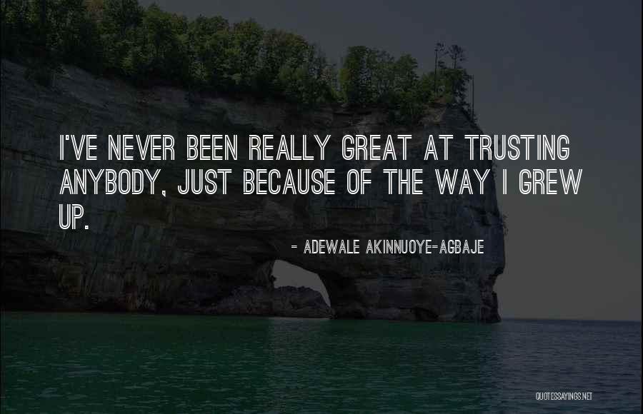 Agbaje Quotes By Adewale Akinnuoye-Agbaje Agbaje Quotes By Adewale Akinnuoye-Agbaje