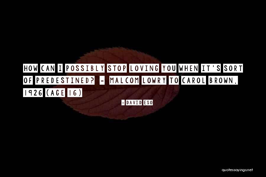 Age 16 Quotes By David Eso Age 16 Quotes By David Eso