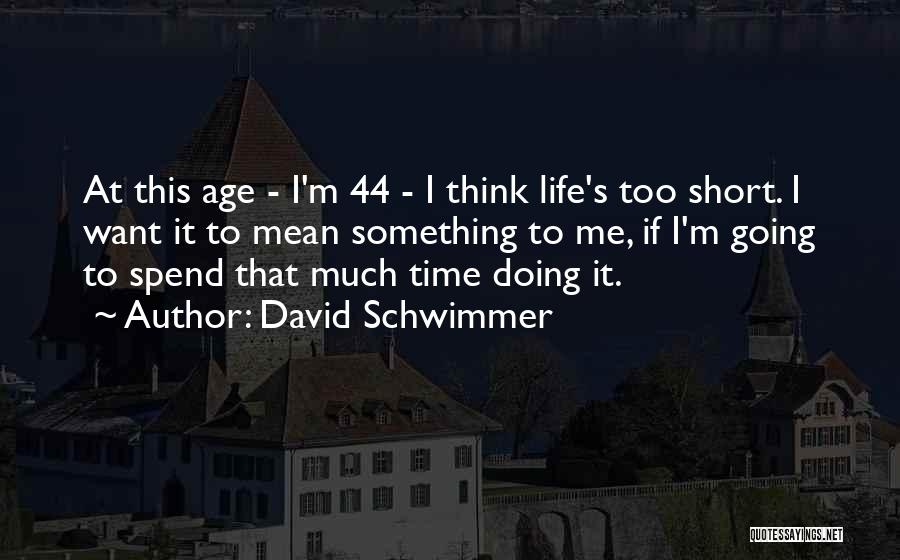 Age 44 Quotes By David Schwimmer