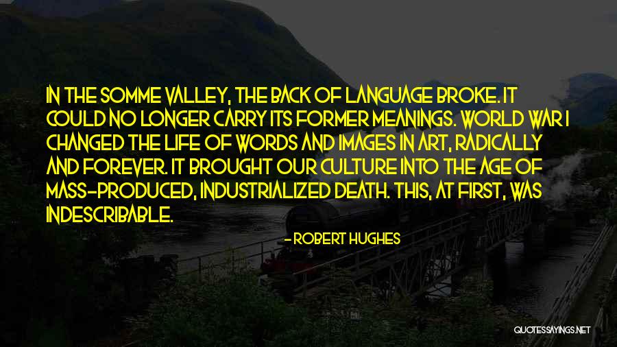 Age And Art Quotes By Robert Hughes Age And Art Quotes By Robert Hughes