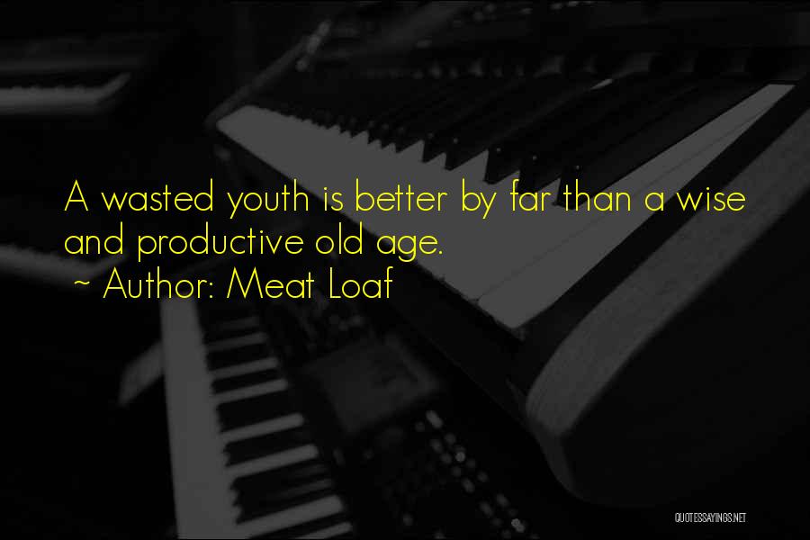 Age And Education Quotes By Meat Loaf