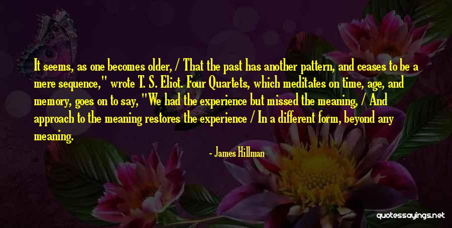 Age And Experience Quotes By James Hillman