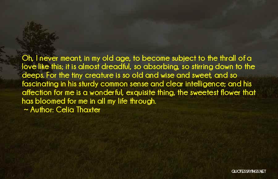 Age And Intelligence Quotes By Celia Thaxter