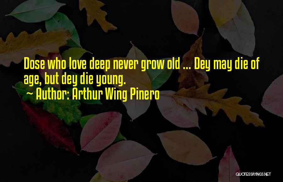 Age And Love Quotes By Arthur Wing Pinero