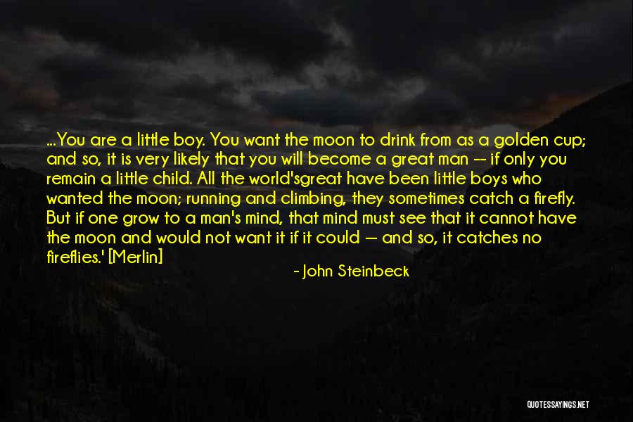 Age And Maturity Quotes By John Steinbeck Age And Maturity Quotes By John Steinbeck