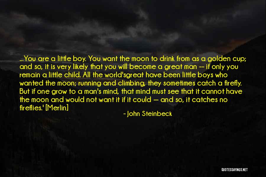 Age And Maturity Quotes By John Steinbeck