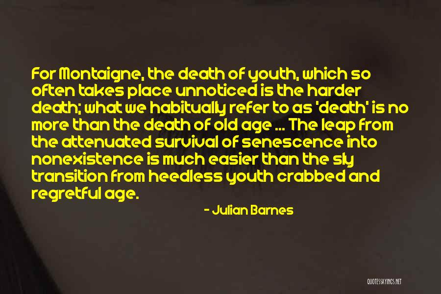 Age And Youth Quotes By Julian Barnes