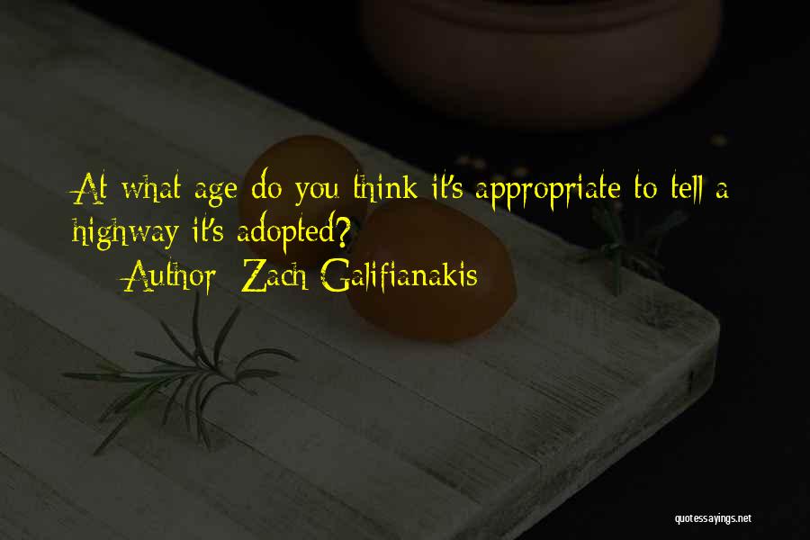 Age Appropriate Quotes By Zach Galifianakis