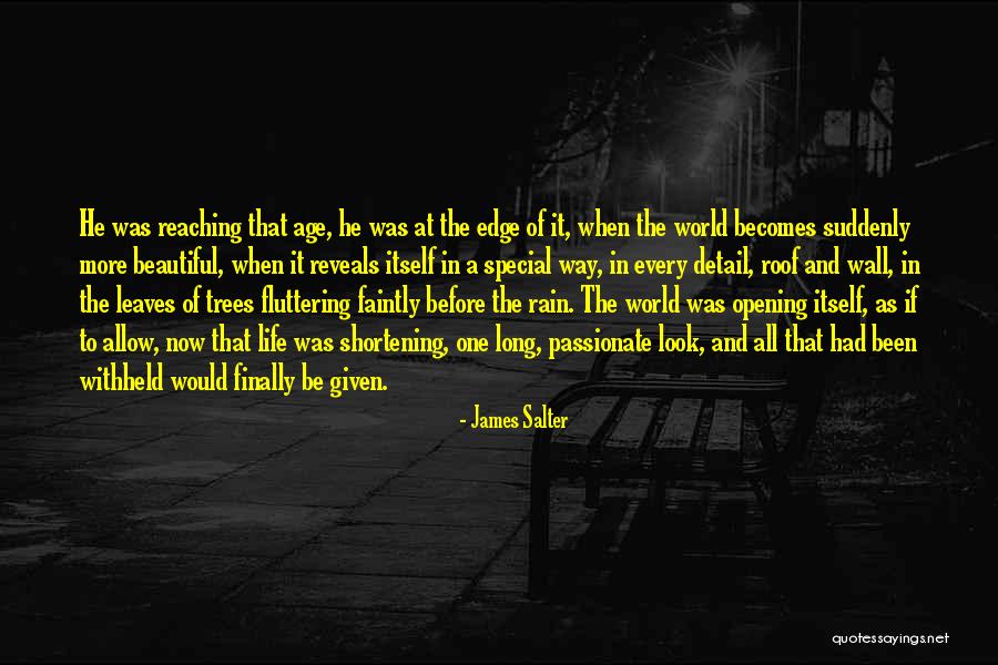 Age Beautiful Quotes By James Salter