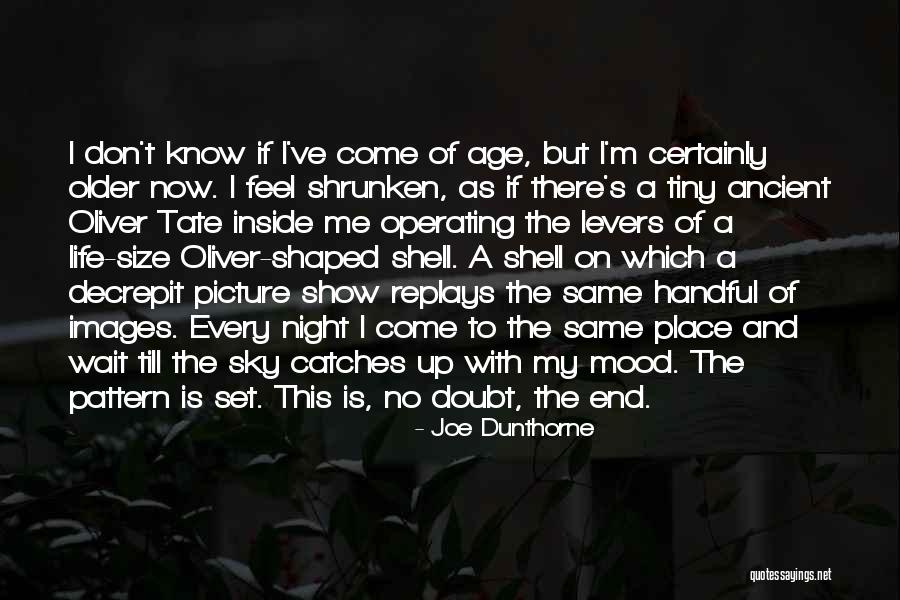 Age Is Quotes By Joe Dunthorne Age Is Quotes By Joe Dunthorne