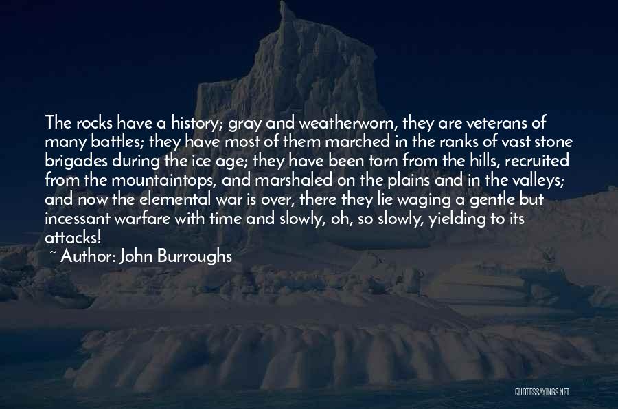 Age Of Gray Quotes By John Burroughs