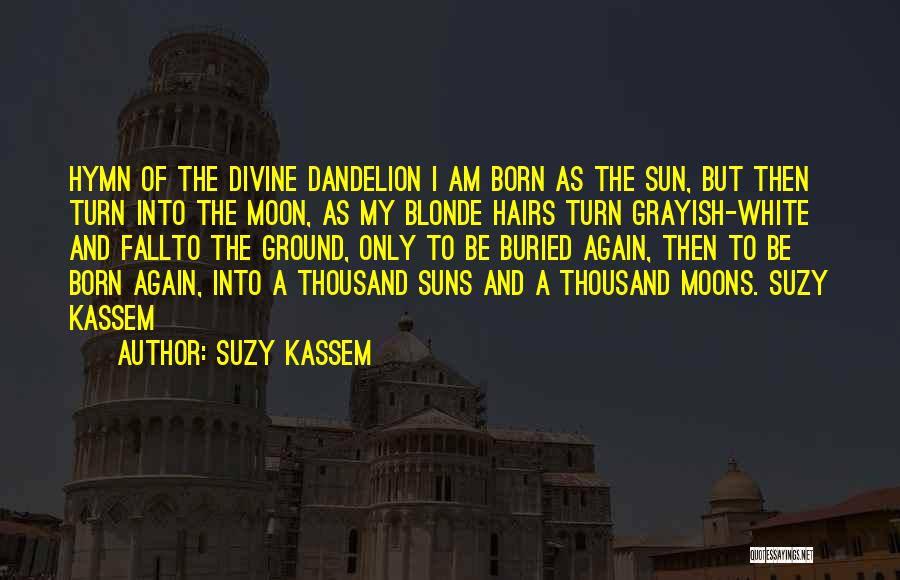 Age Of Gray Quotes By Suzy Kassem