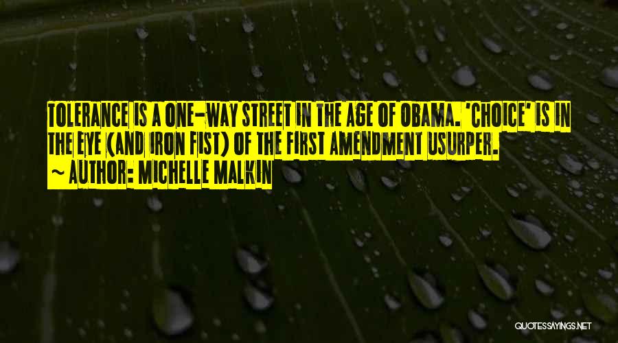 Age Of Iron Quotes By Michelle Malkin