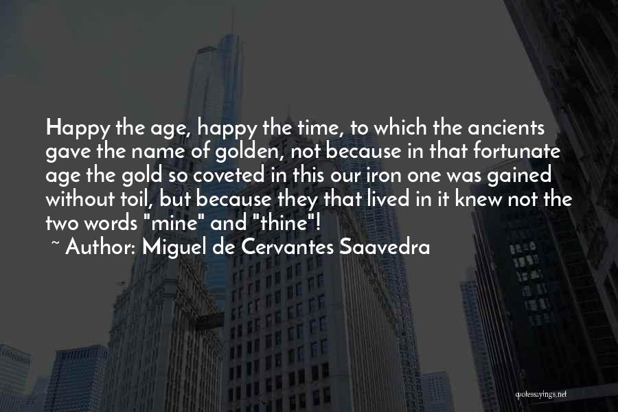 Age Of Iron Quotes By Miguel De Cervantes Saavedra