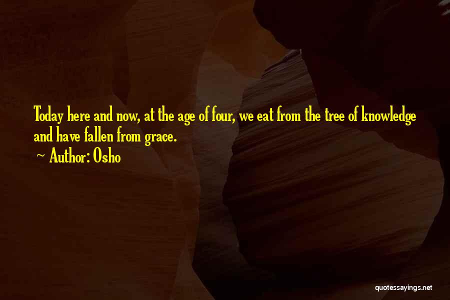 Age Of Quotes By Osho