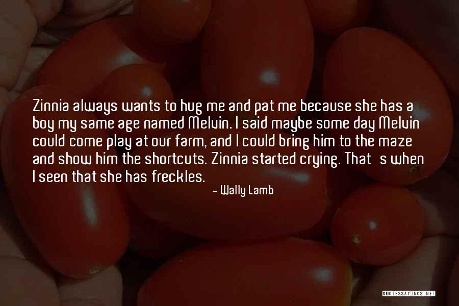 Age Play Quotes By Wally Lamb