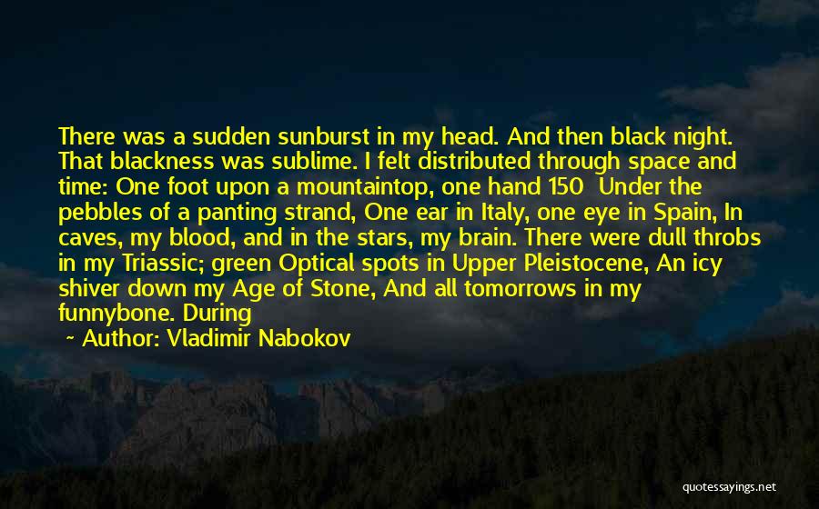 Age Spots Quotes By Vladimir Nabokov