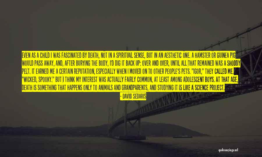 Age That Children Quotes By David Sedaris Age That Children Quotes By David Sedaris