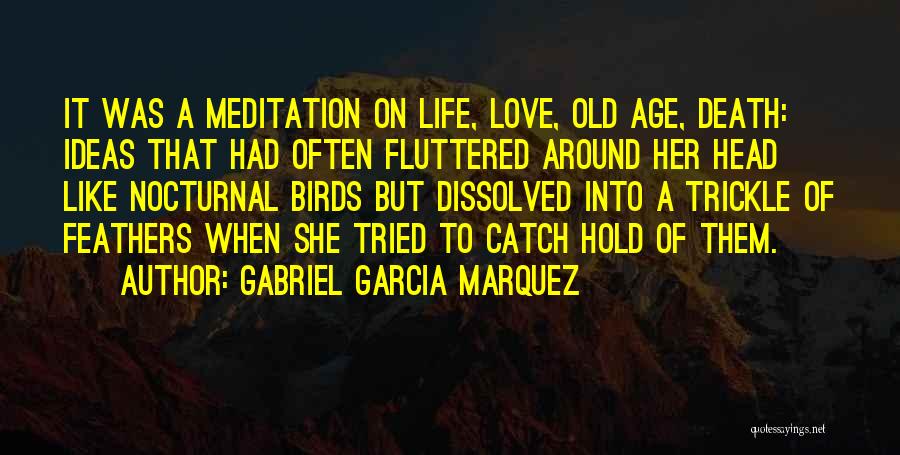 Age Vs Love Quotes By Gabriel Garcia Marquez