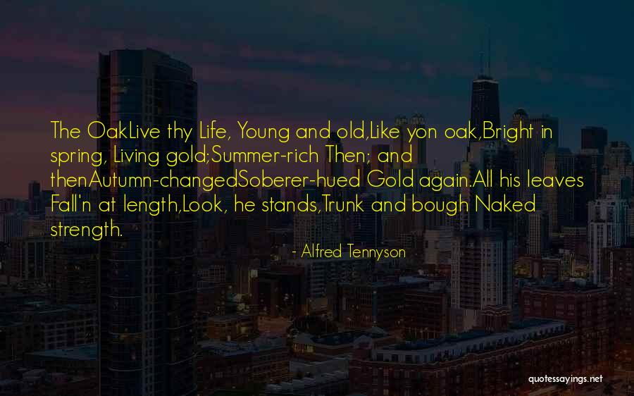 Ageing Well Quotes By Alfred Tennyson