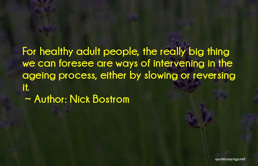Ageing Well Quotes By Nick Bostrom