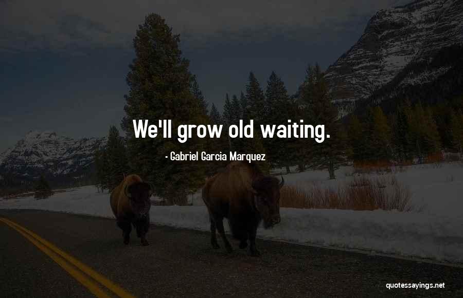 Agellos Quotes By Gabriel Garcia Marquez Agellos Quotes By Gabriel Garcia Marquez