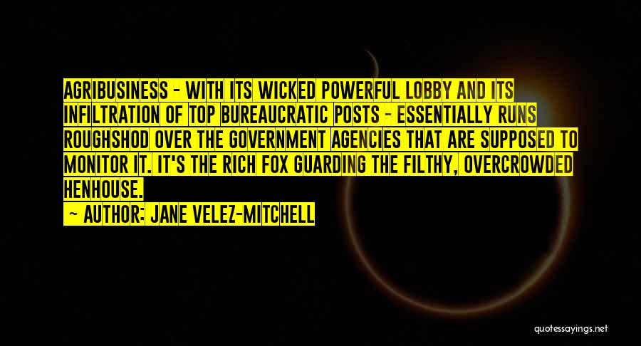 Agencies Quotes By Jane Velez-Mitchell