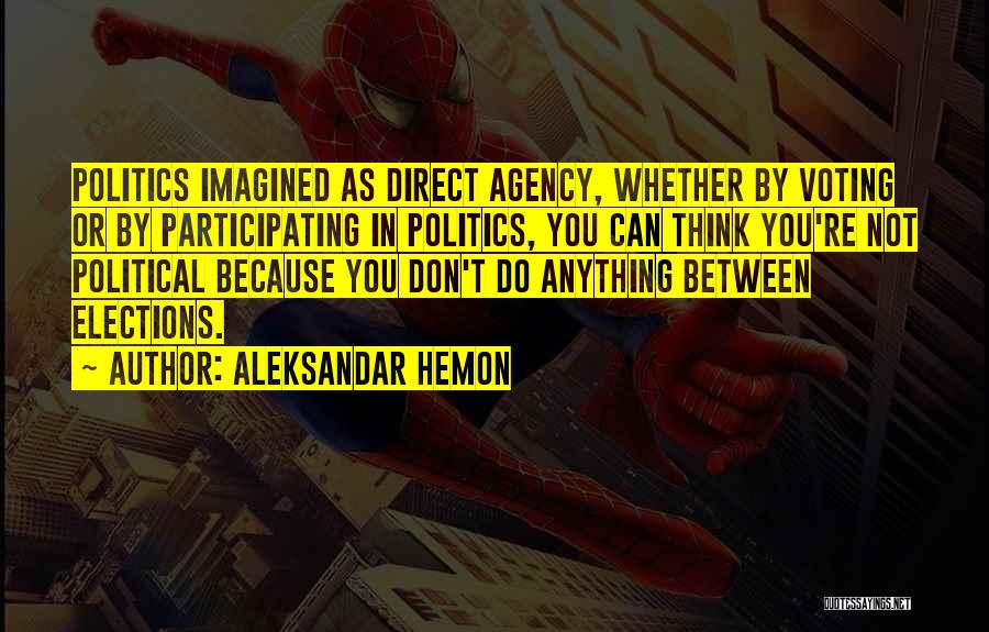 Agency Quotes By Aleksandar Hemon