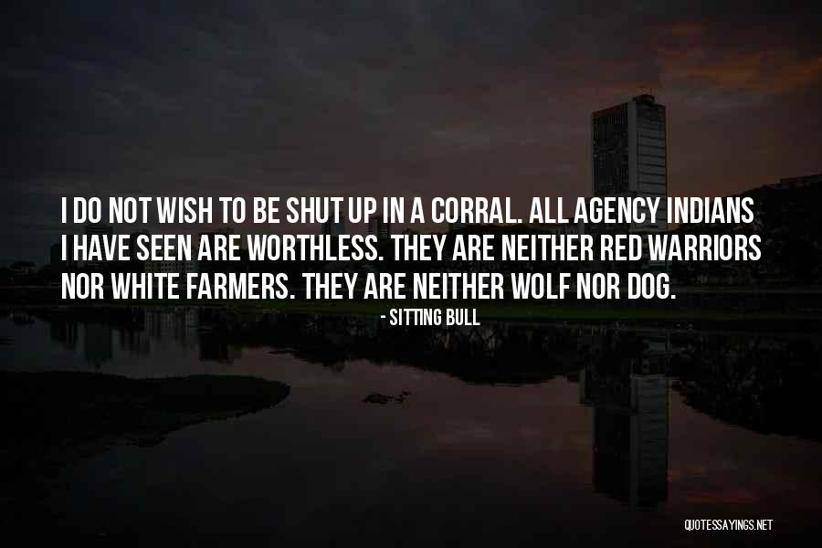 Agency Quotes By Sitting Bull