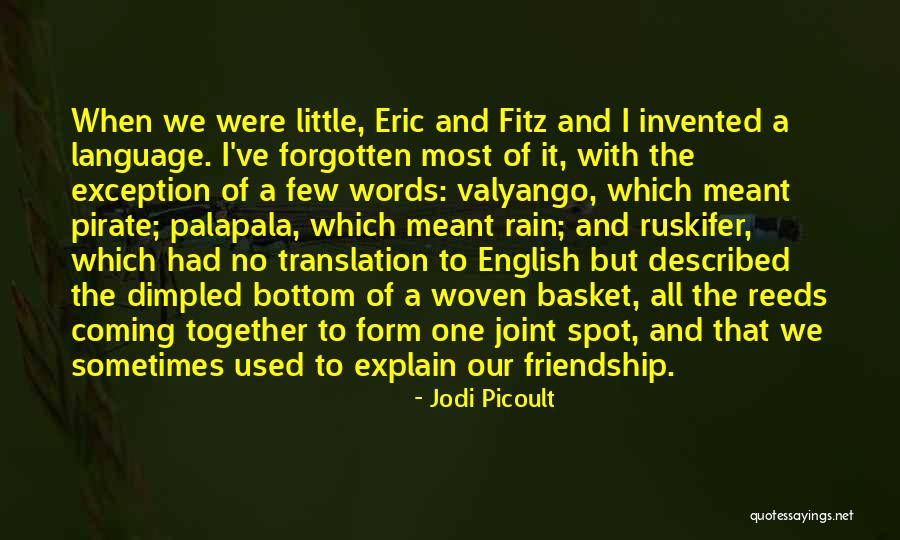 Agendo Gnaviter Quotes By Jodi Picoult Agendo Gnaviter Quotes By Jodi Picoult
