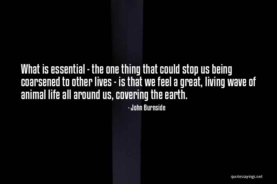 Agent Insider Quotes By John Burnside Agent Insider Quotes By John Burnside