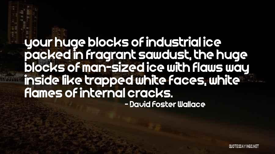 Aggettivi Possessivi Quotes By David Foster Wallace Aggettivi Possessivi Quotes By David Foster Wallace