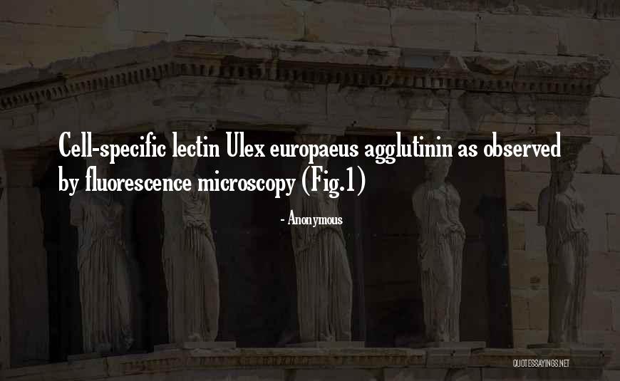 Agglutinin Quotes By Anonymous Agglutinin Quotes By Anonymous