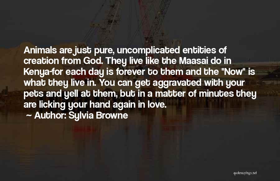 Aggravated Love Quotes By Sylvia Browne