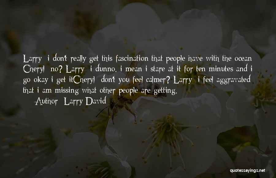 Aggravated Quotes By Larry David