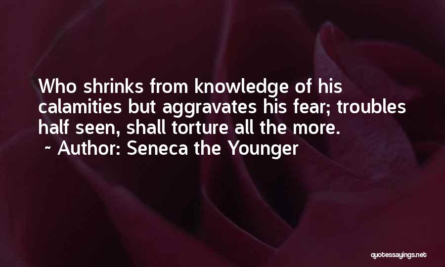 Aggravates Quotes By Seneca The Younger