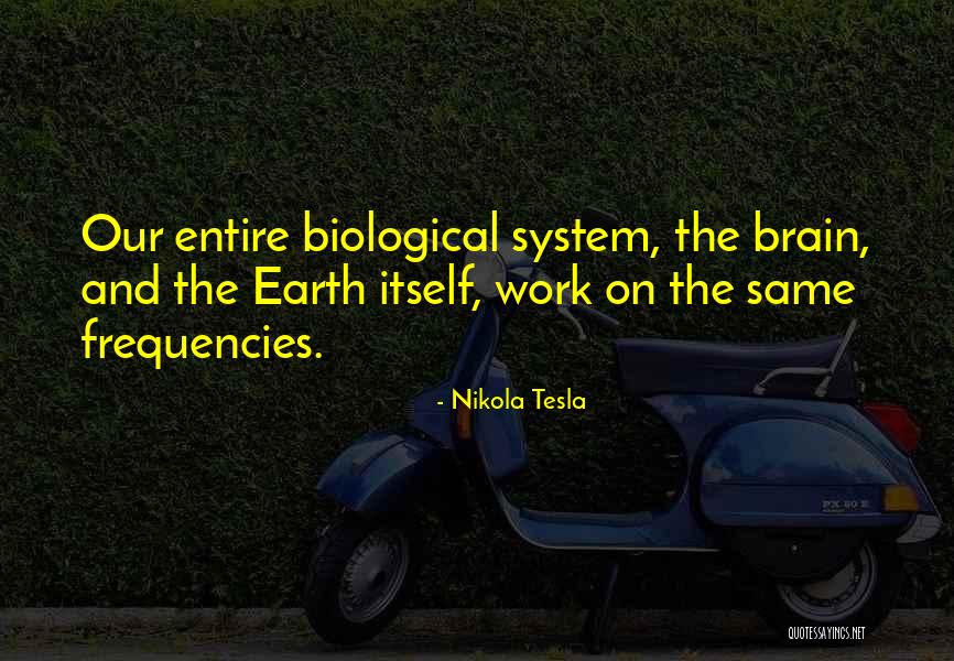 Aggravations Rules Quotes By Nikola Tesla Aggravations Rules Quotes By Nikola Tesla