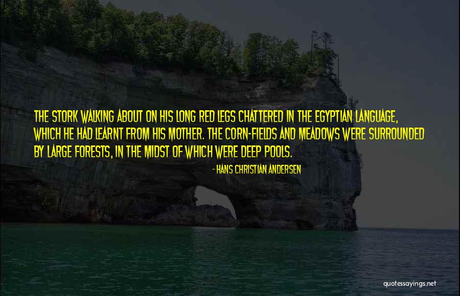 Aggregating Data Quotes By Hans Christian Andersen