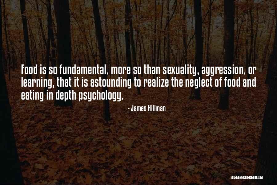 Aggression Psychology Quotes By James Hillman