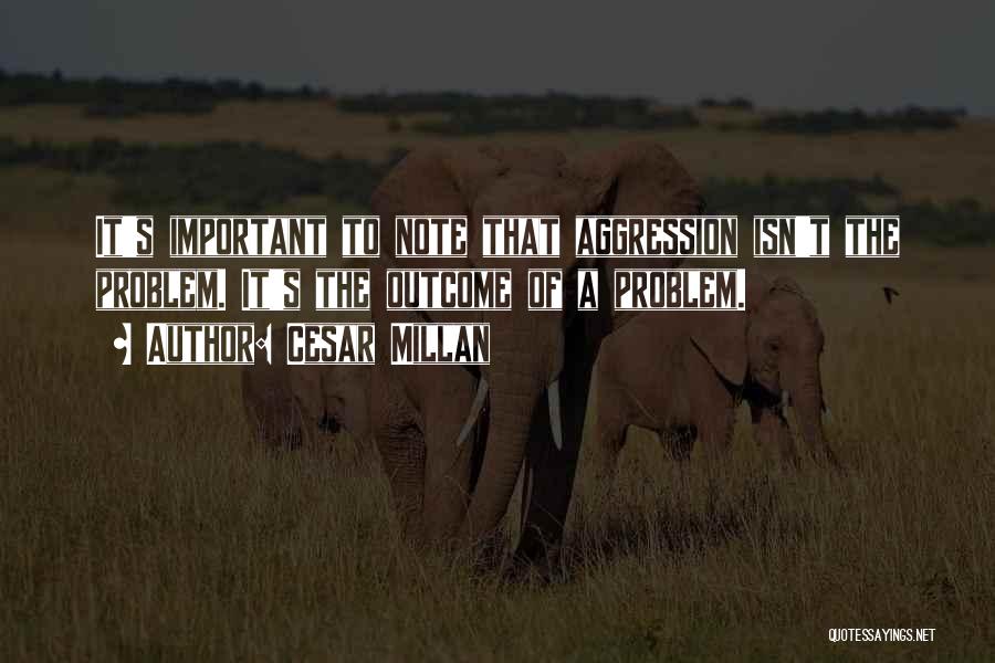 Aggression Quotes By Cesar Millan