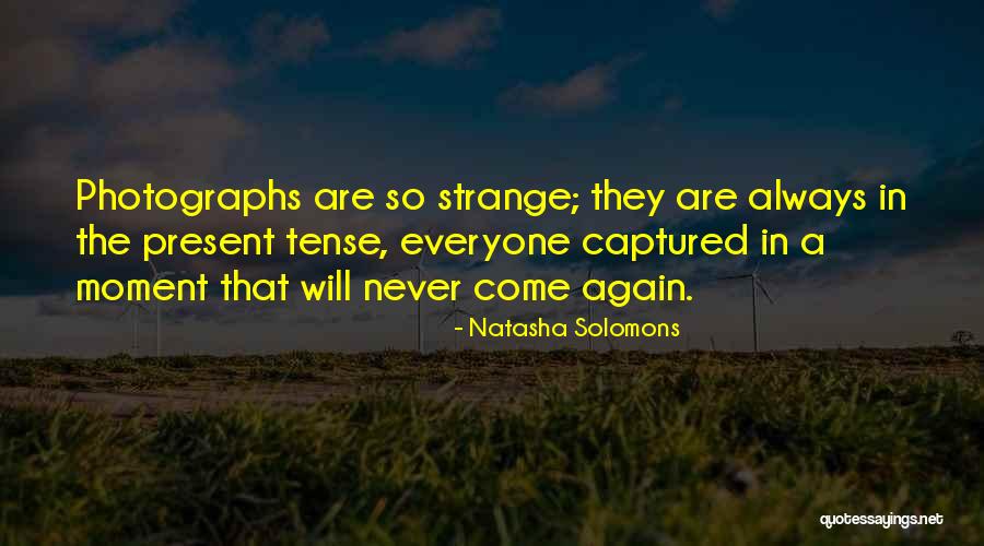 Aggressive Dog Breeds Quotes By Natasha Solomons Aggressive Dog Breeds Quotes By Natasha Solomons