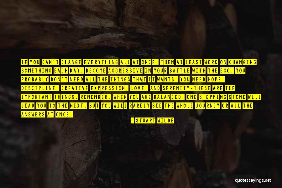 Aggressive Love Quotes By Stuart Wilde