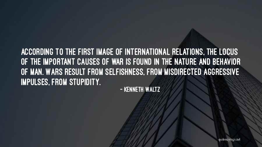 Aggressive Man Quotes By Kenneth Waltz