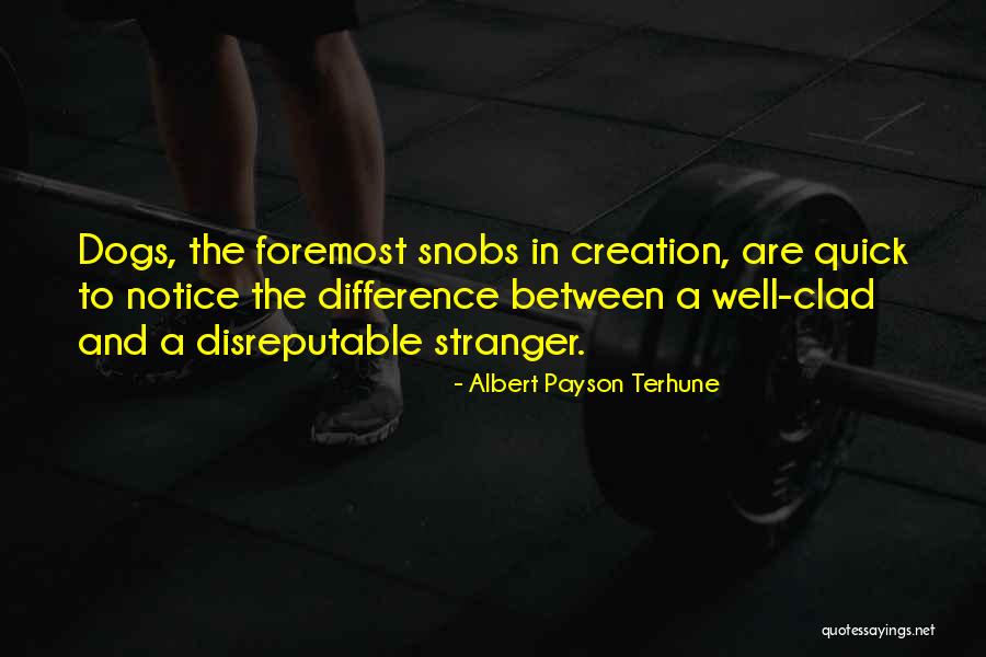 Aggressor Adventures Quotes By Albert Payson Terhune Aggressor Adventures Quotes By Albert Payson Terhune